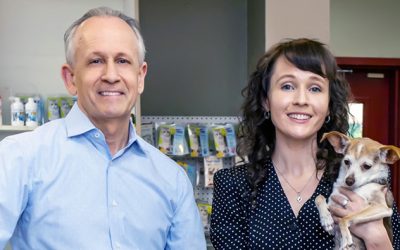 How to Grow a Successful DVM