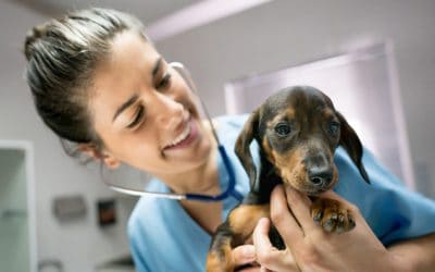 3 Steps to Staff Retention